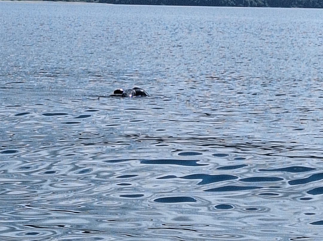 Jet Ski Sloth Land CR-Playa Panama必去景点