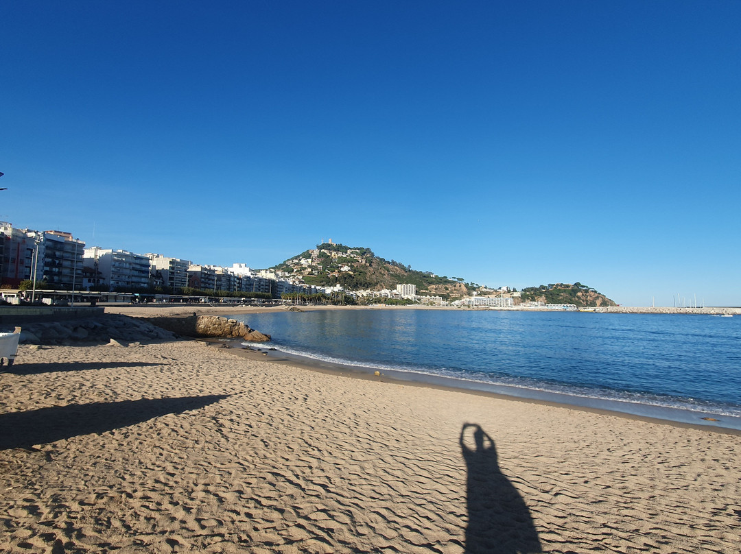 Sa Palomera-布拉内斯必去景点