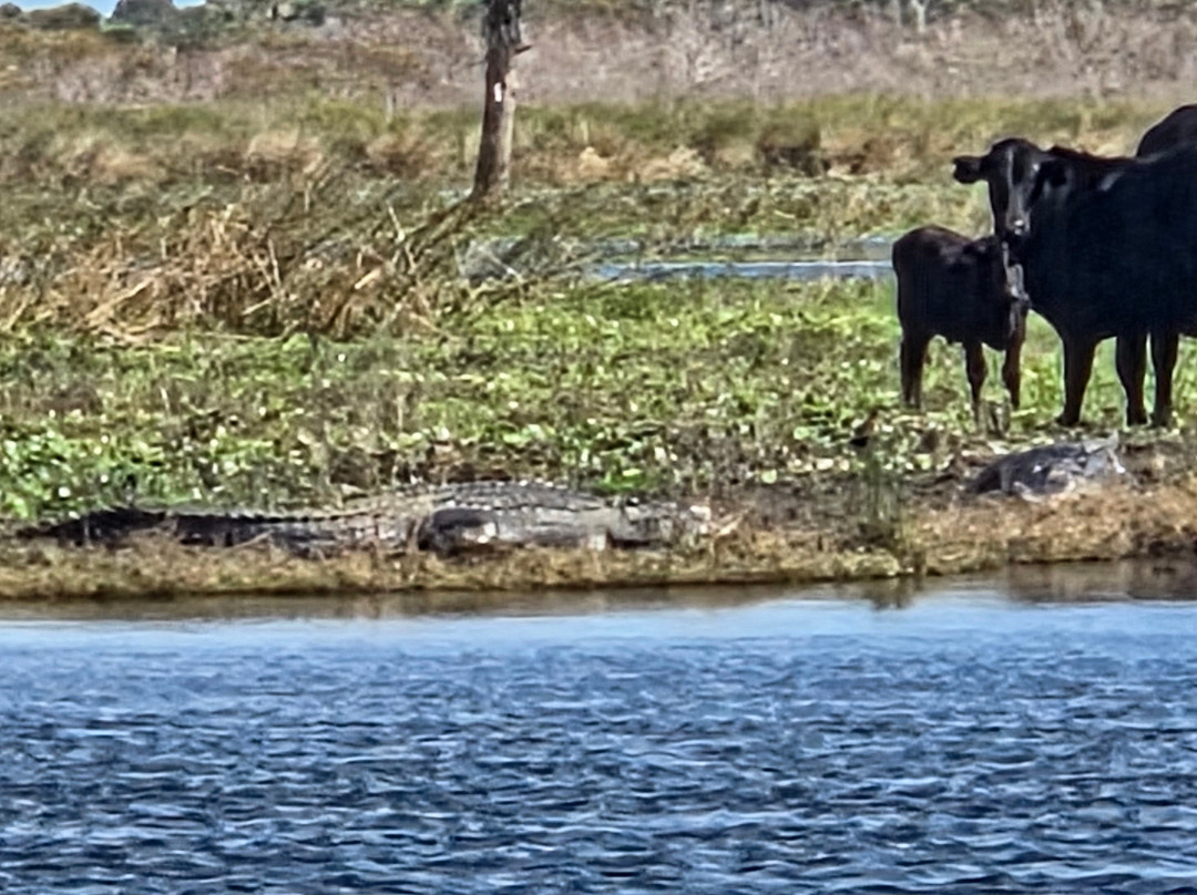 AirBoat Rides at Midway-Christmas必去景点