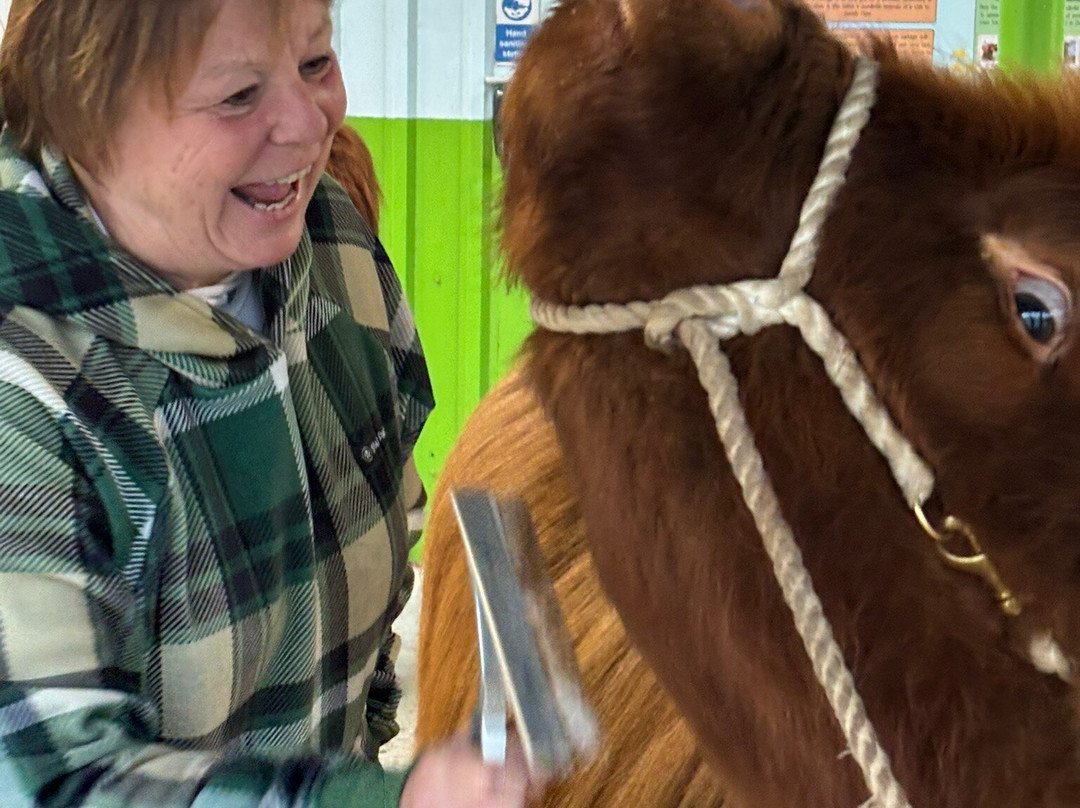 Dumble Farm-比弗利必去景点