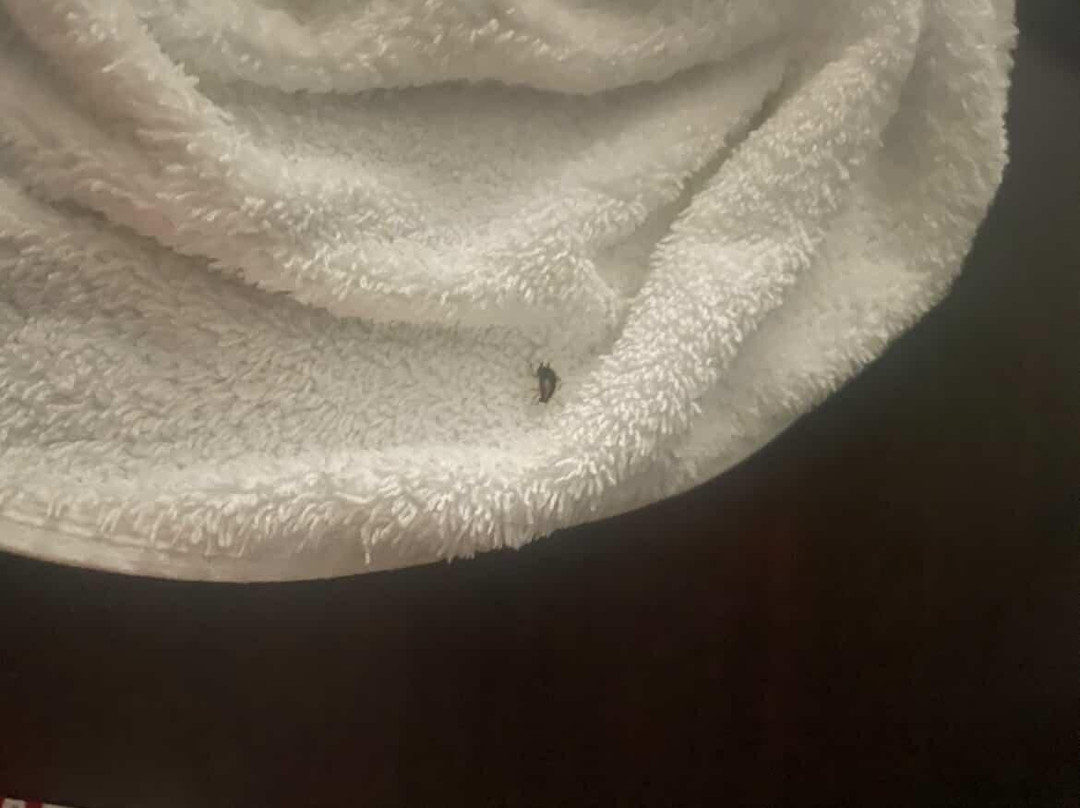 奥兰治拉金塔旅馆&套房酒店主图