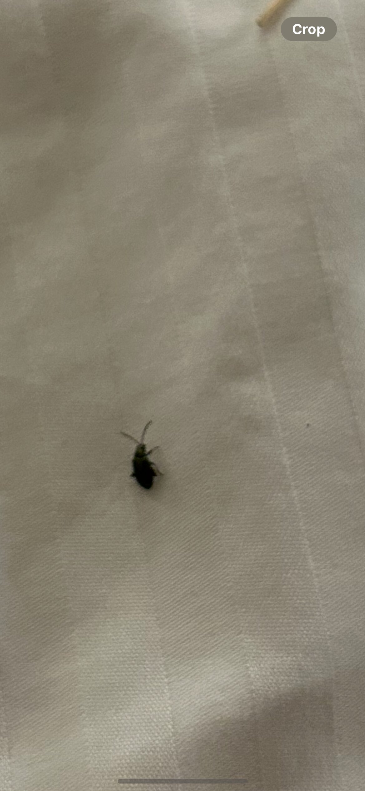 Fredericksburg Inn & Suites-官方