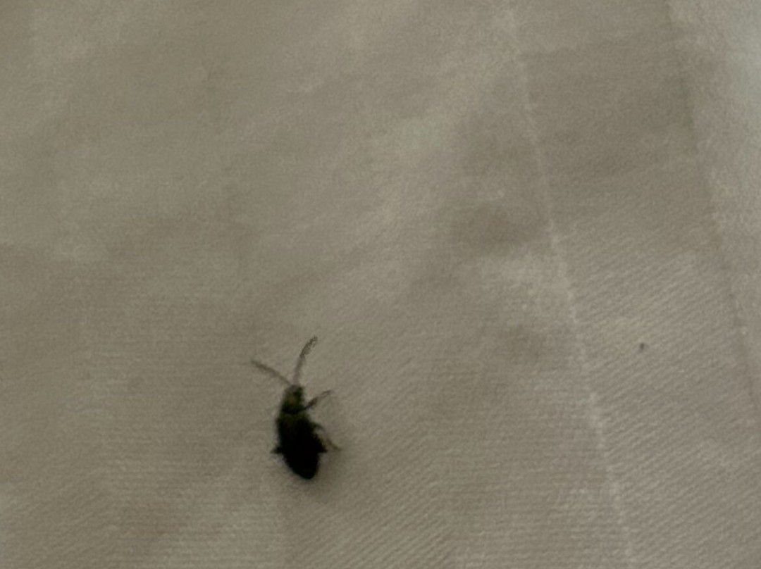 Fredericksburg Inn & Suites主图