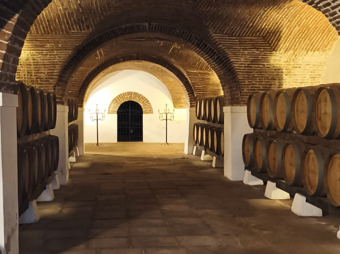 Grand Rota Tours - Portugal-波尔图必去景点