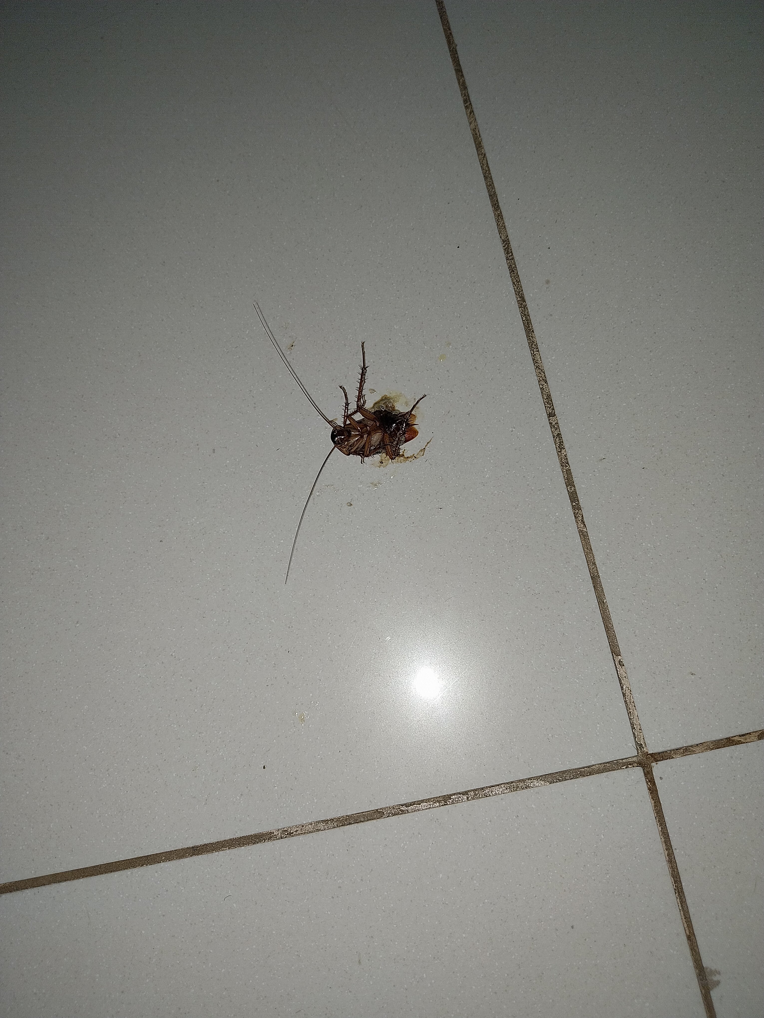 Vila Gale Mares-官方