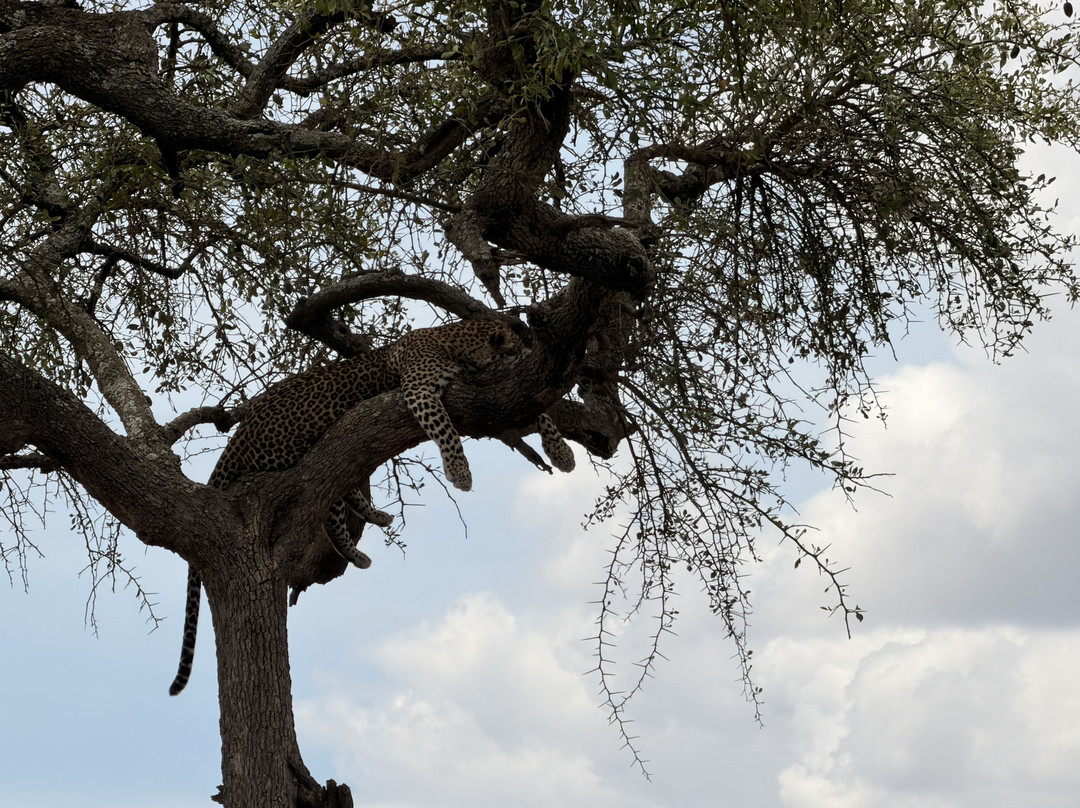 易捷旅游-一日游-阿鲁沙必去景点