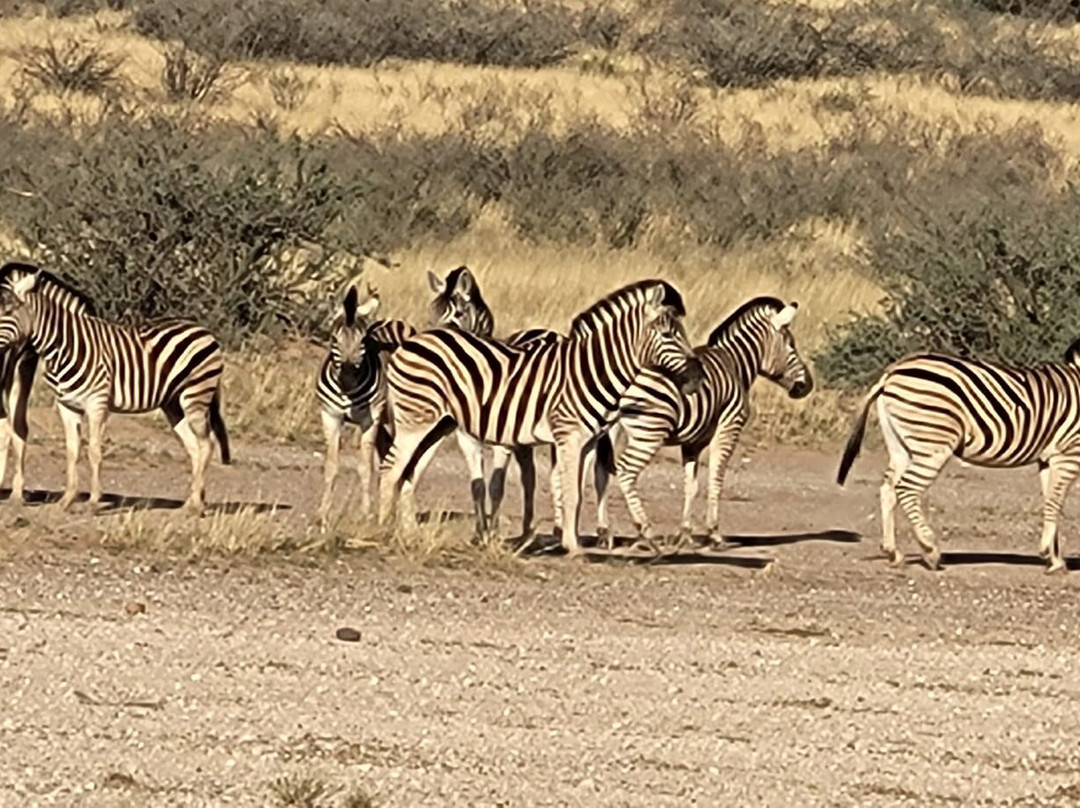 Namib Trails 4x4 Rentals-温德和克必去景点