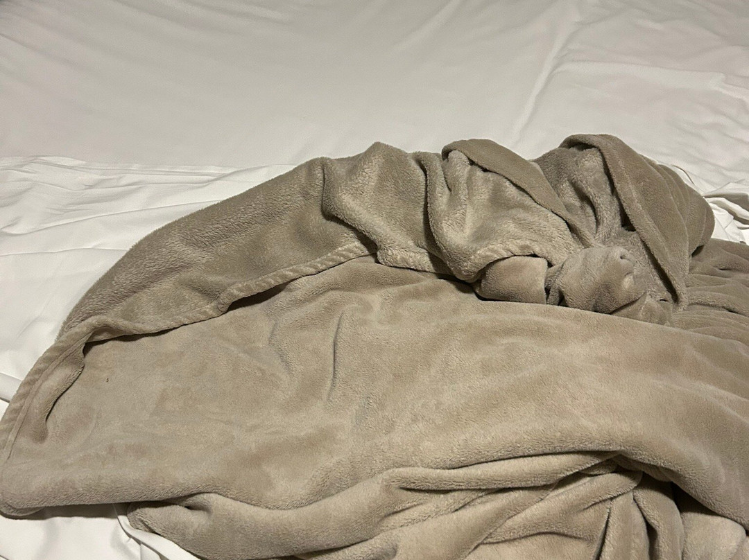 Tri Hotel Executive Brusque主图