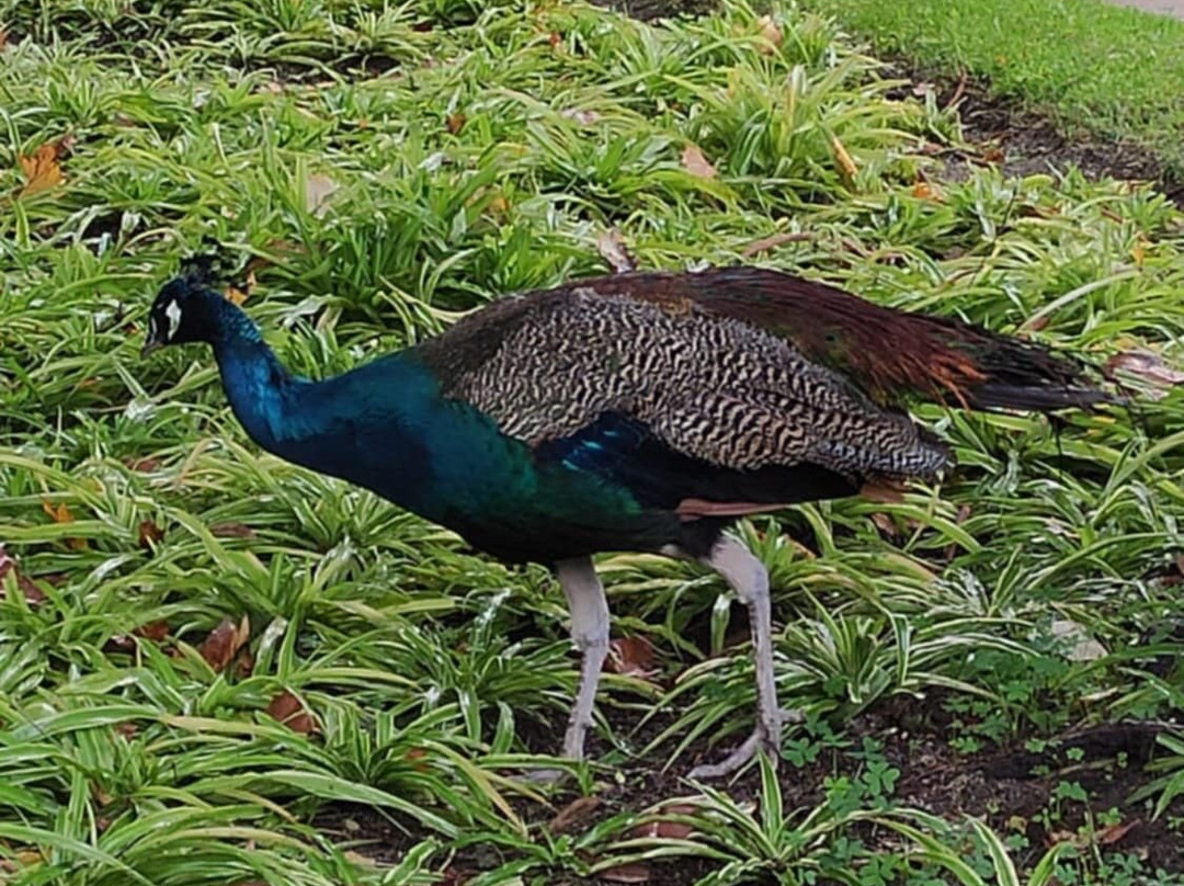Évora Public Garden-埃武拉必去景点