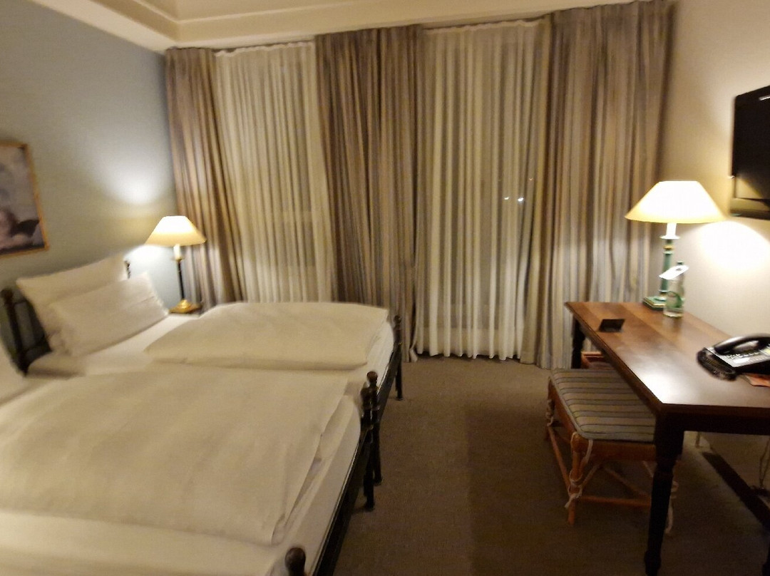 德勒斯顿艾尔贝弗伦萨酒店主图