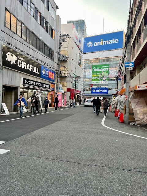 电电城(电器、电子产品商城)-Nippombashi必去景点