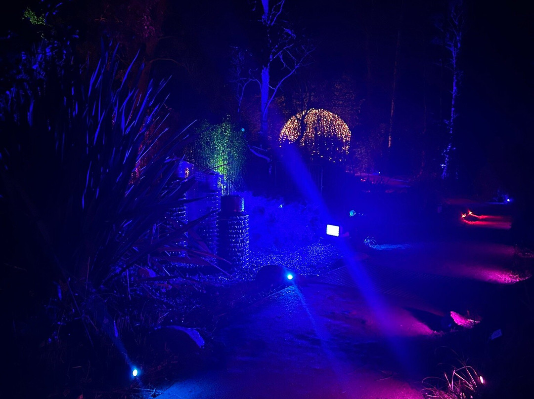 Winter Wonderland Walk