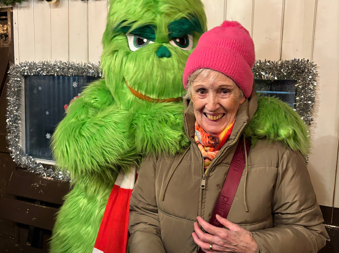 Brecon Mountain Railway-梅瑟蒂德菲尔必去景点