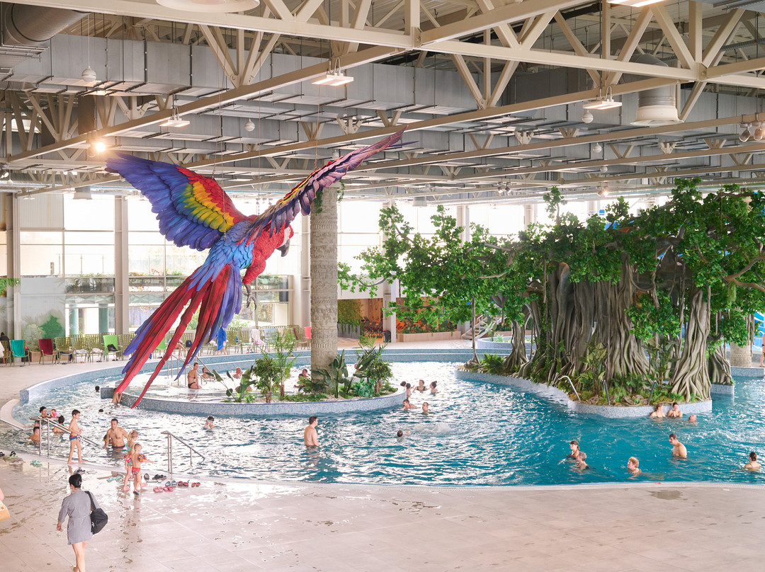 Amazonia Aquapark-蒂米什瓦拉必去景点