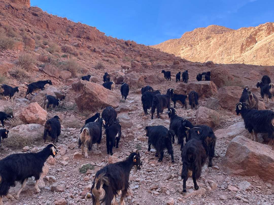 Morocco Heaven Tours-瓦尔扎扎特必去景点