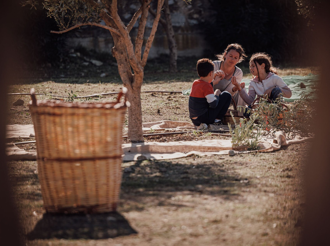 Eggares Olive Press Museum-Eggares必去景点