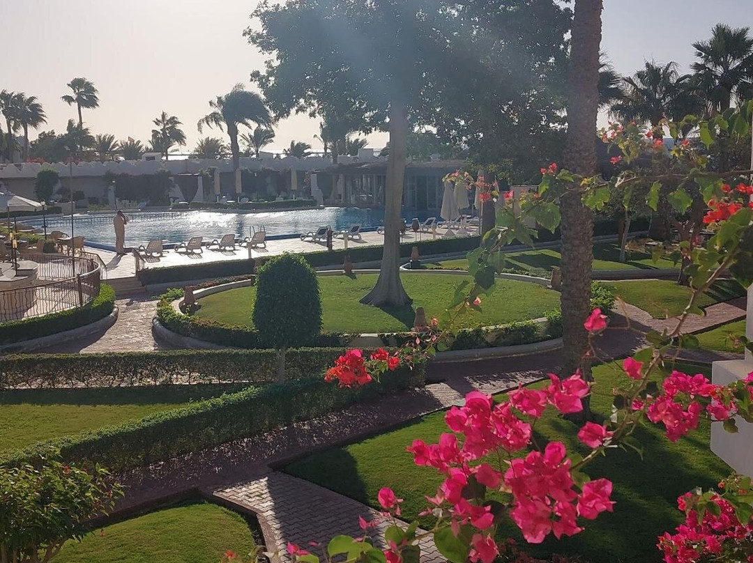 Swiss Inn Resort Dahab主图