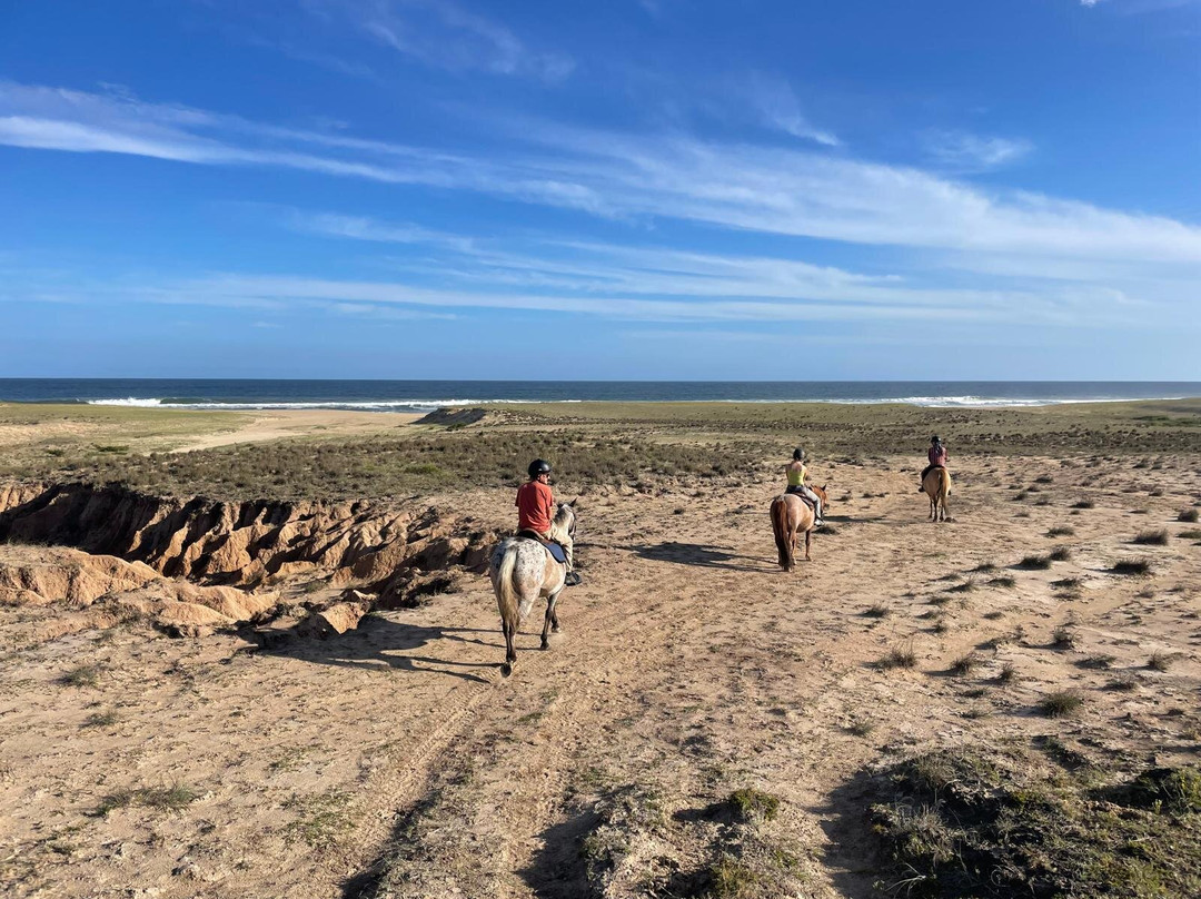 Eco Equus Cabalgatas-La Pedrera必去景点