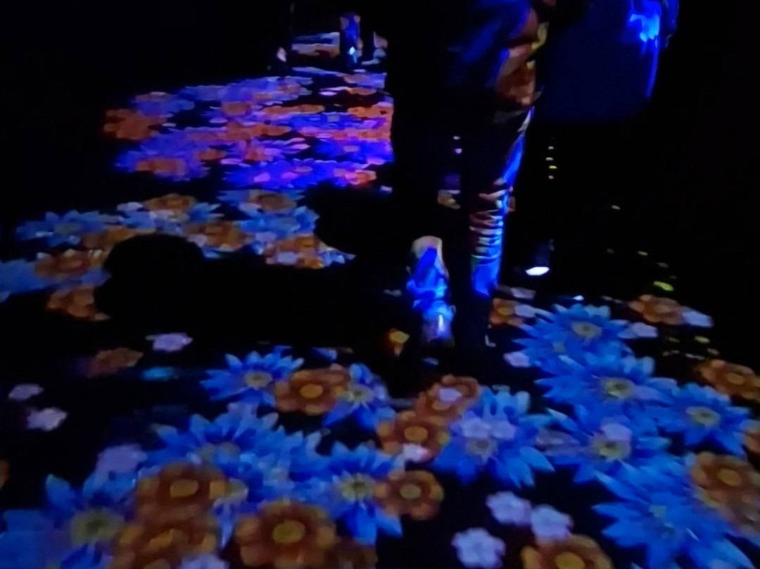 Light Up Trails-罗姆西必去景点