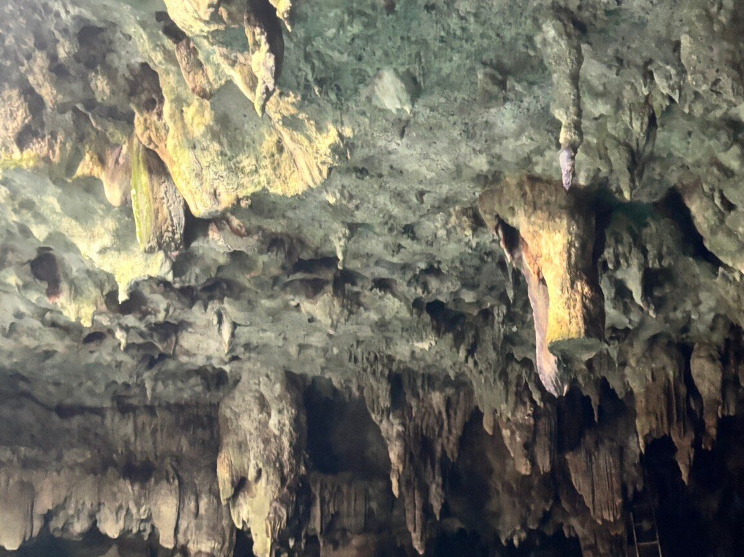 Cenote La Noria-从莫雷洛斯港必去景点