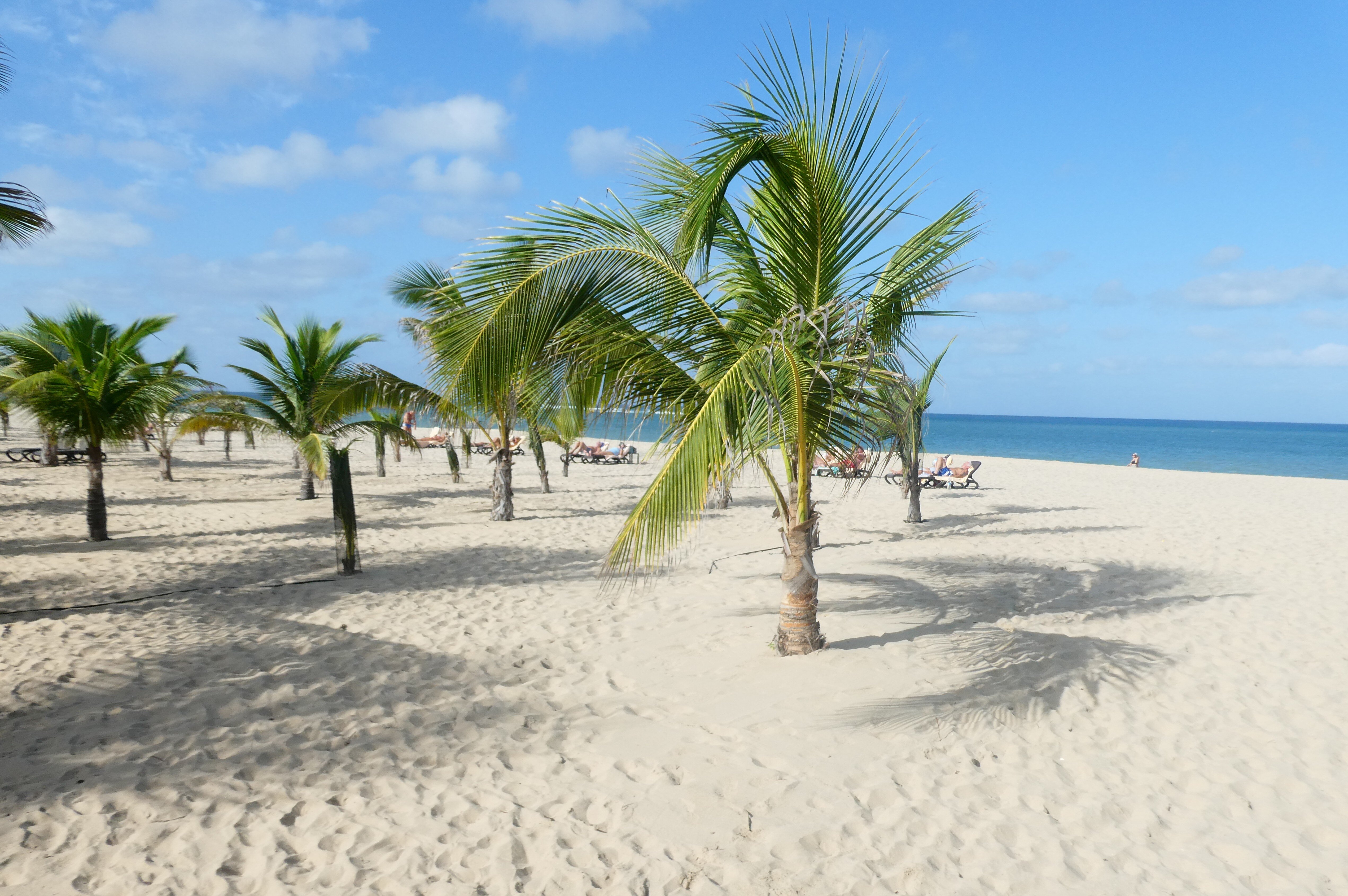 Hotel Riu Palace Boavista-泳池