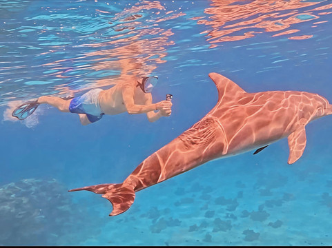 Ausflug Mit Mohamed-赫尔格达必去景点