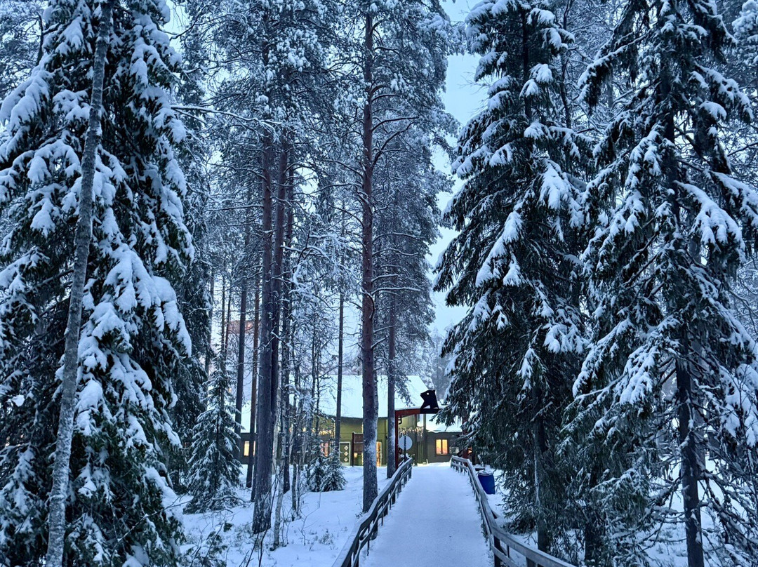 Ranua Zoo-Ranua必去景点