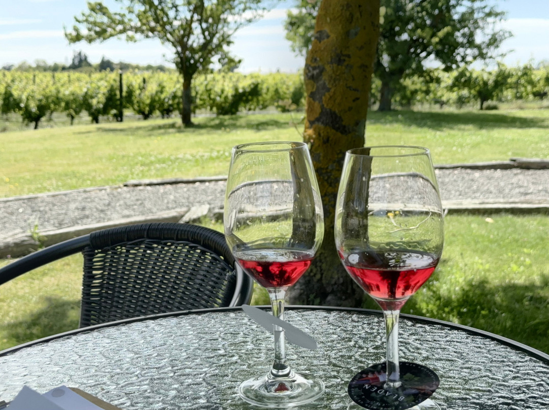 Bladen Wines-伦威克必去景点