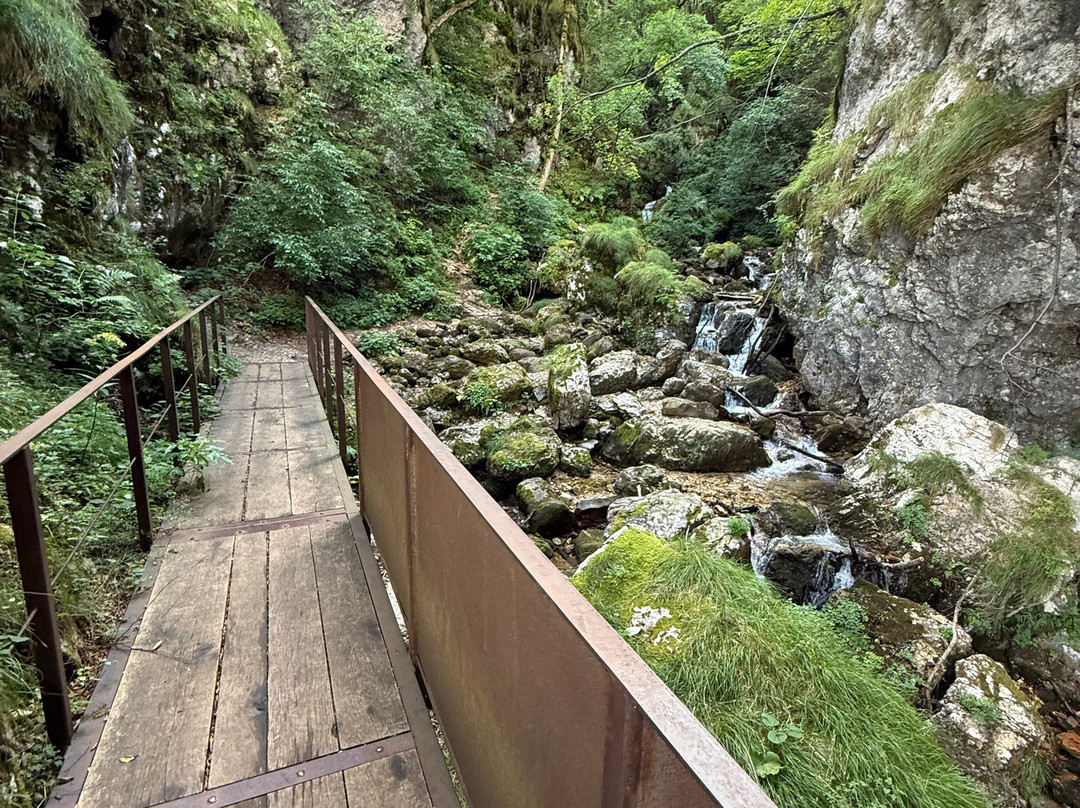 Cascata Di Brazzavalle-Valli del Pasubio必去景点