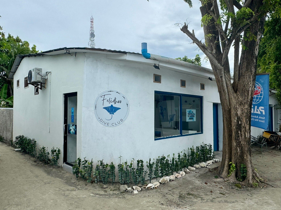 Felidhoo Dive Club