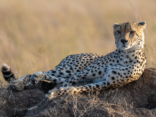 Sambora Private Journeys-吉佳利必去景点