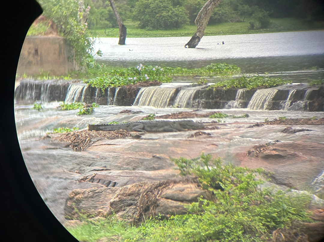 Indunil tours Sri Lanka-Deniyaya必去景点