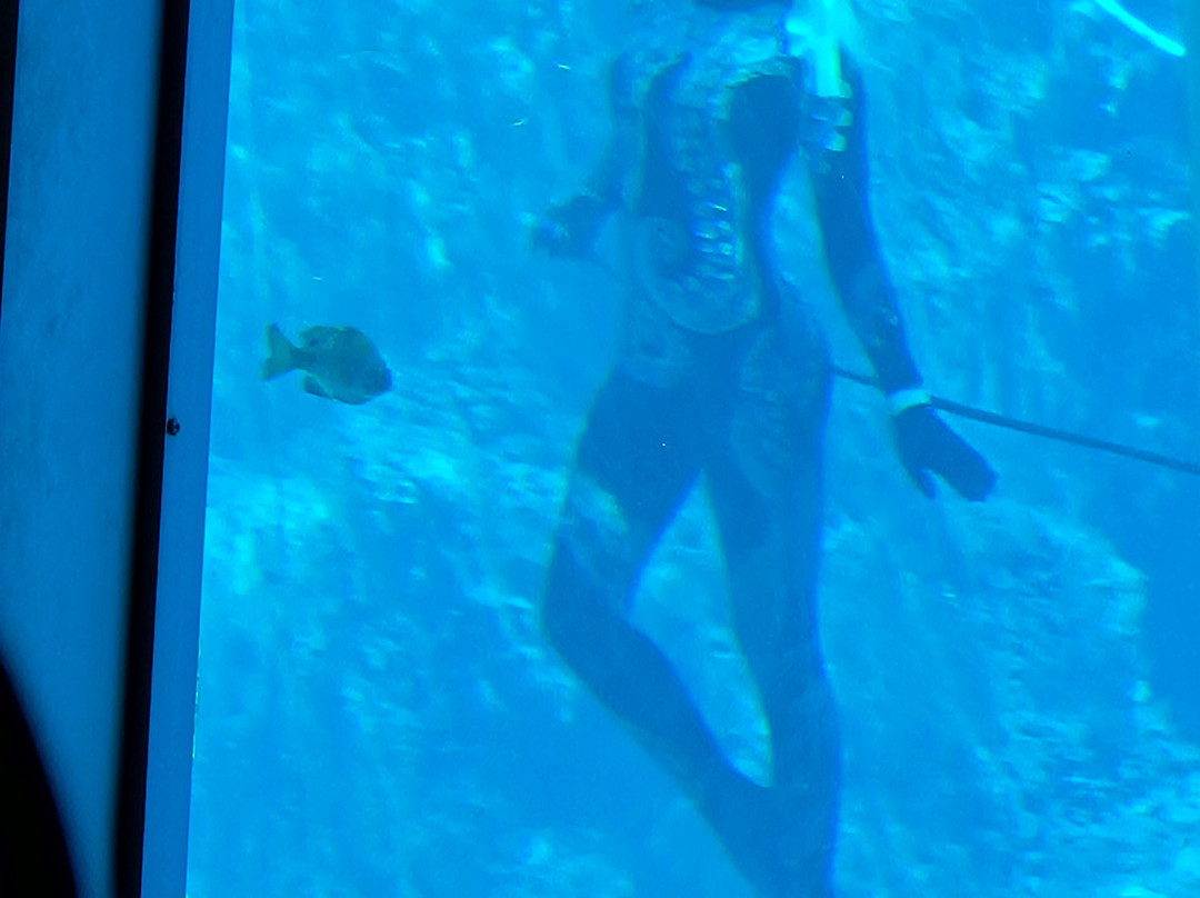 Weeki Wachee Springs-Weeki Wachee必去景点