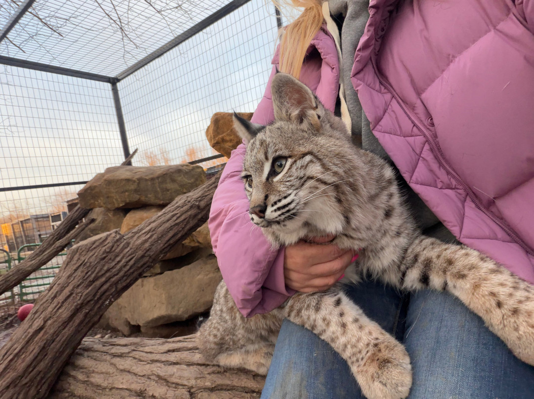 Paws And Claws Animal Encounters-Bremen必去景点