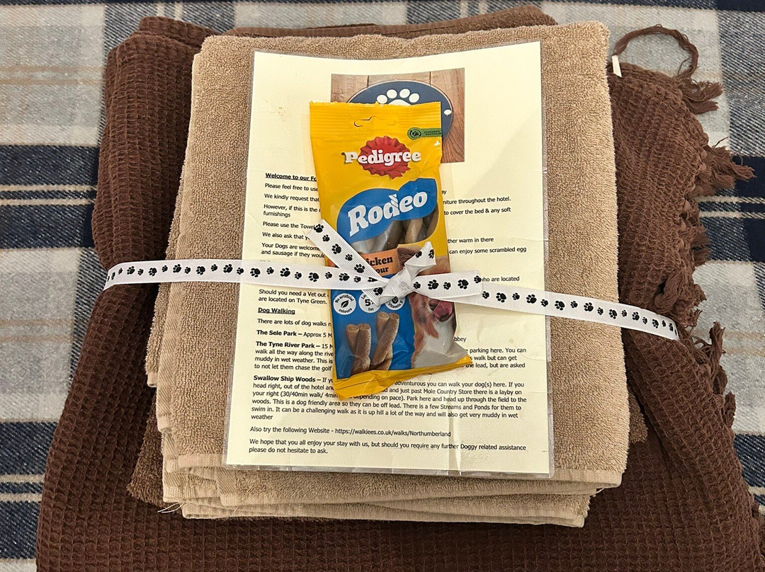 The County Hotel主图