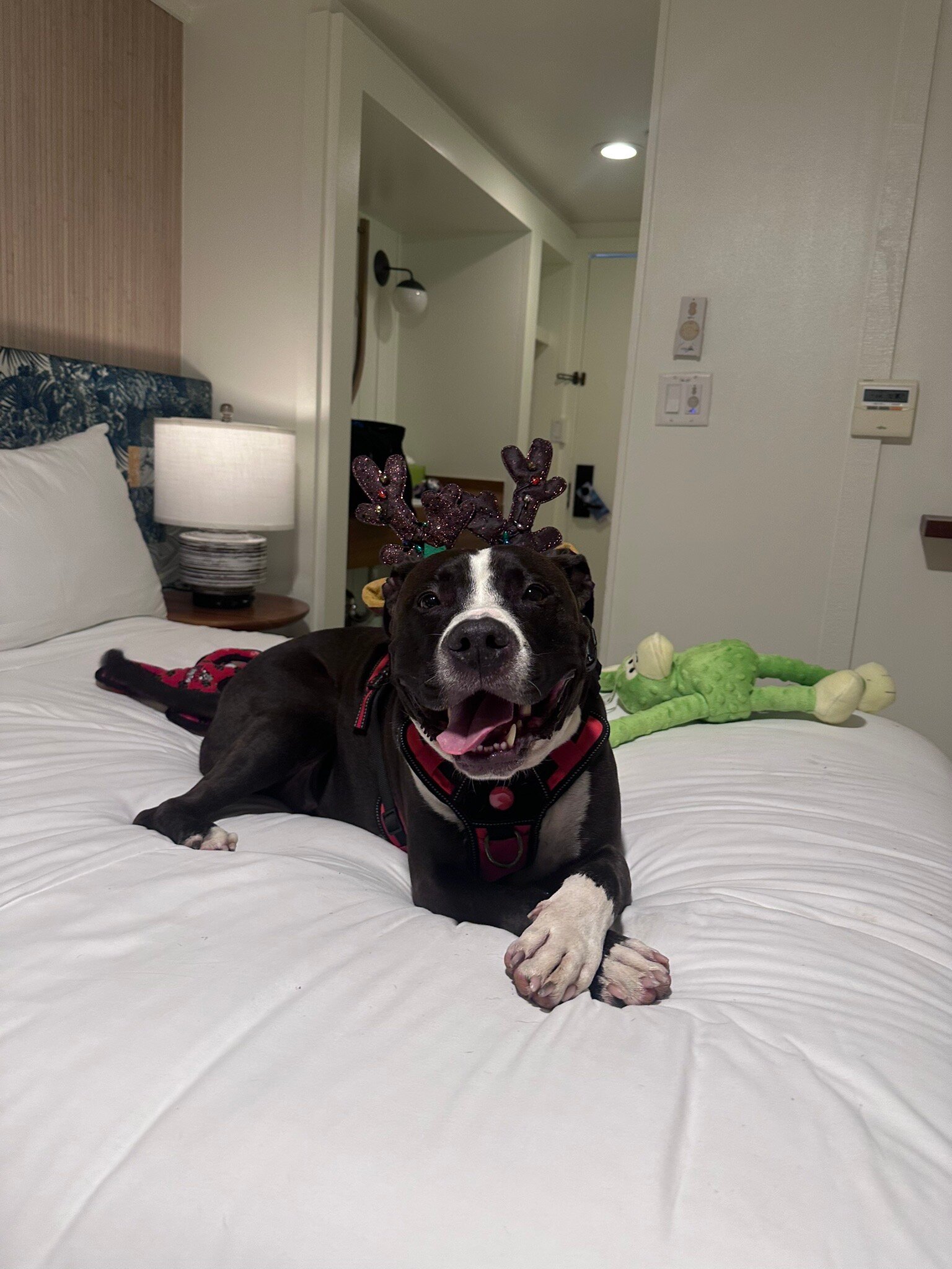 冲浪顶酒店及游泳俱乐部-官方