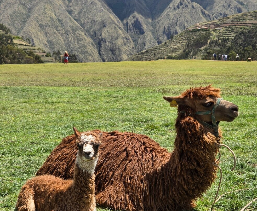 Complejo Arqueologico Chinchero-Chinchero必去景点
