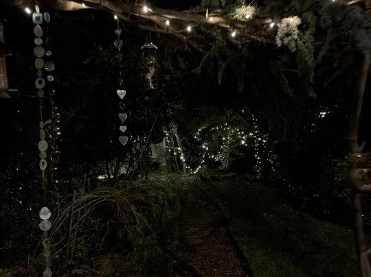 24 Ward Avenue Bed & Breakfast主图