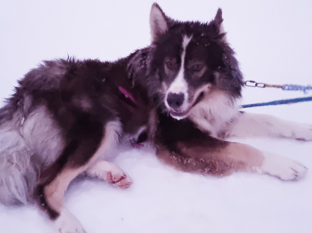 Primitif Aventure-伊瓦洛必去景点