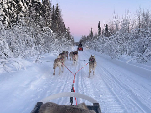 ArcticAdventures Lapland-罗瓦涅米必去景点