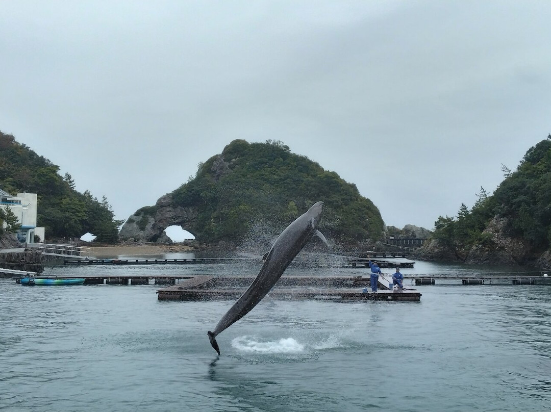 Taiji Whale Museum-太地町必去景点