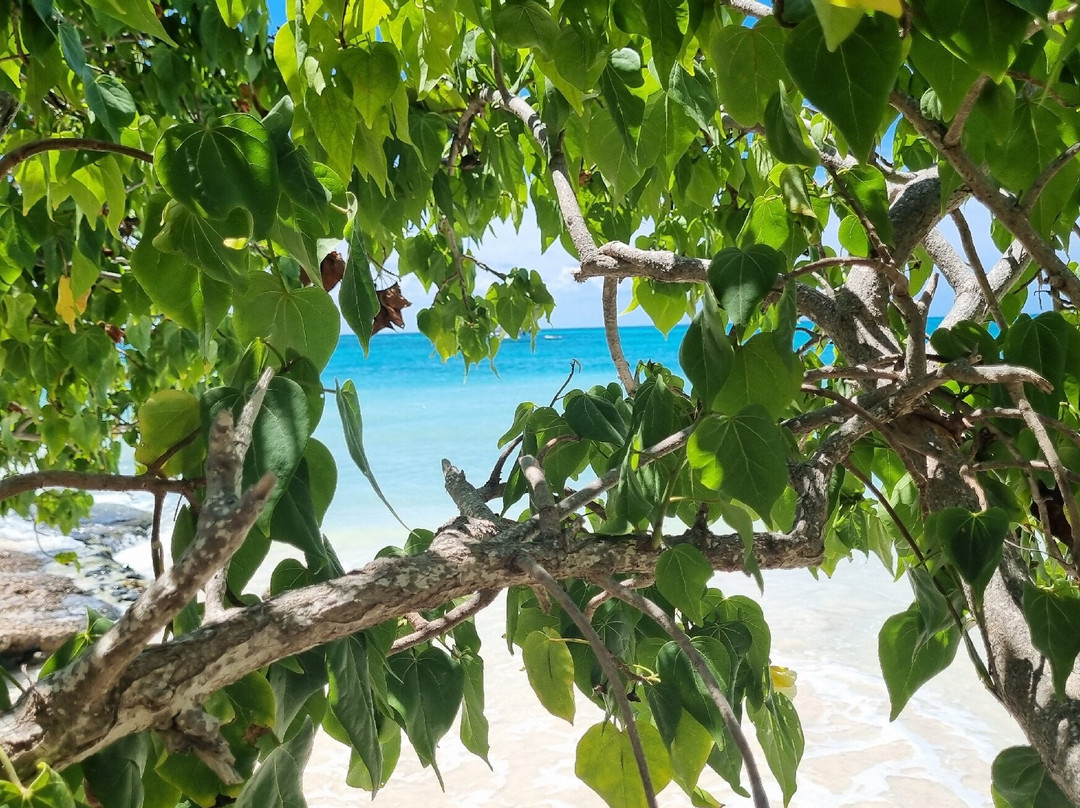 Rodgers Beach-San Nicolas必去景点