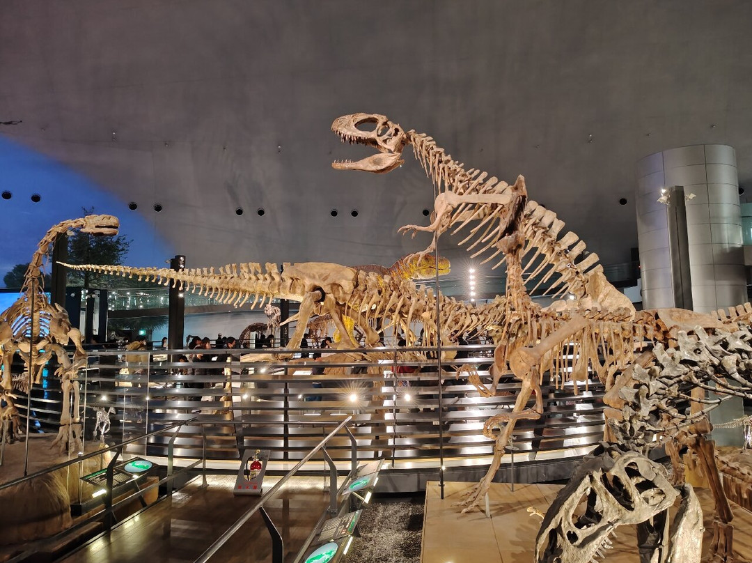 Fukui Prefectural Dinosaur Museum-胜山市必去景点