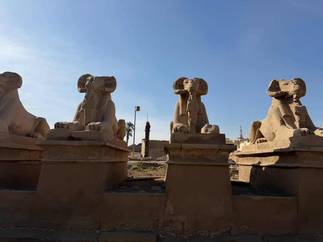 Autour Des Dunes-赫尔格达必去景点