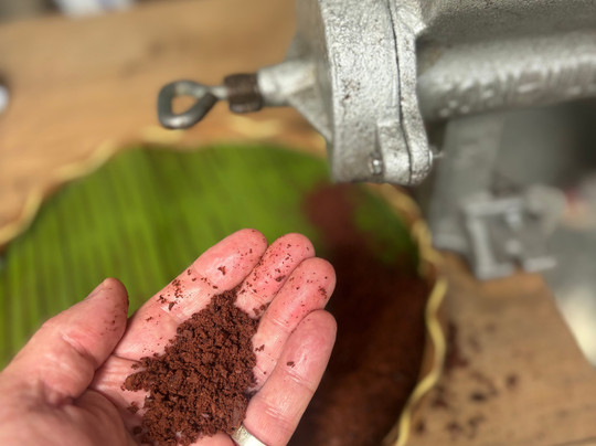 Bohol Chocolate Farm-Sagbayan必去景点