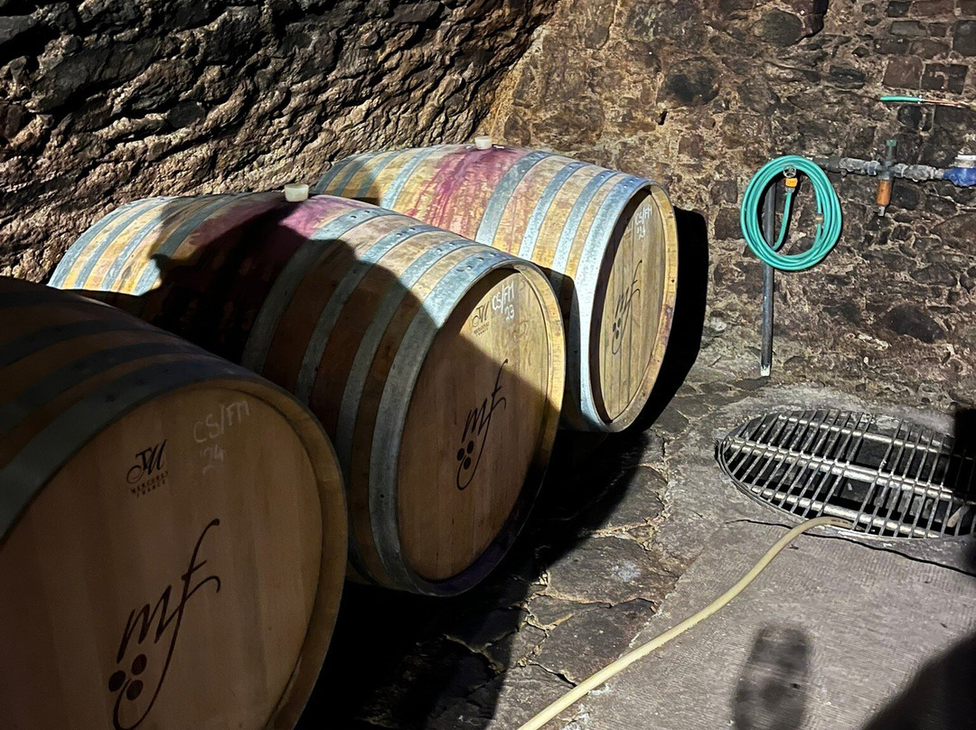 Vino Fiala-Modra必去景点