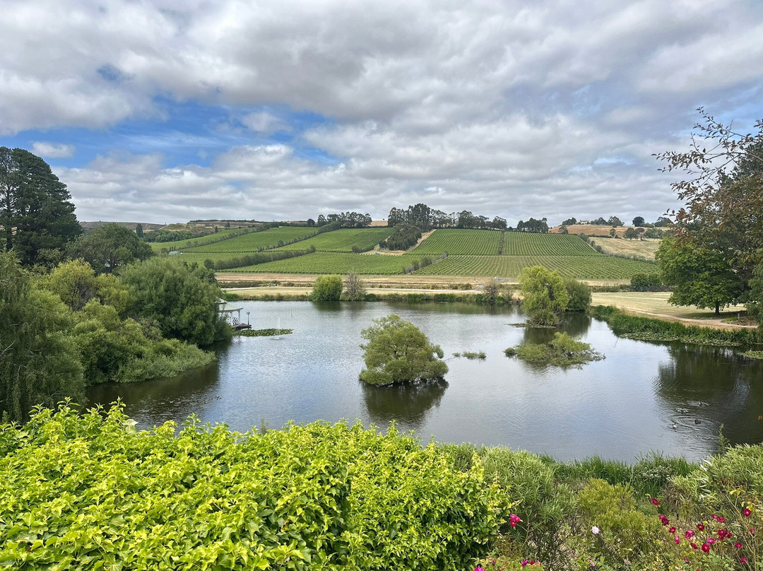 Tamar Ridge Cellar Door-Rosevears必去景点