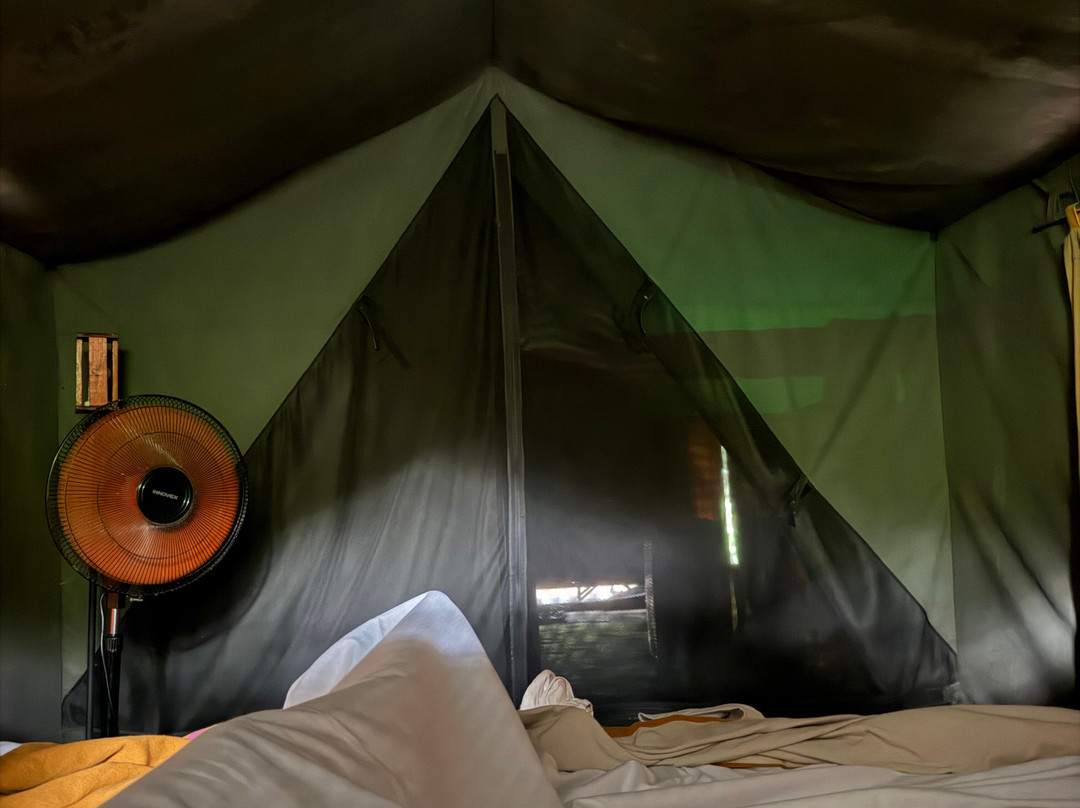 Mahoora Tented Safari Camp Udawalawe主图
