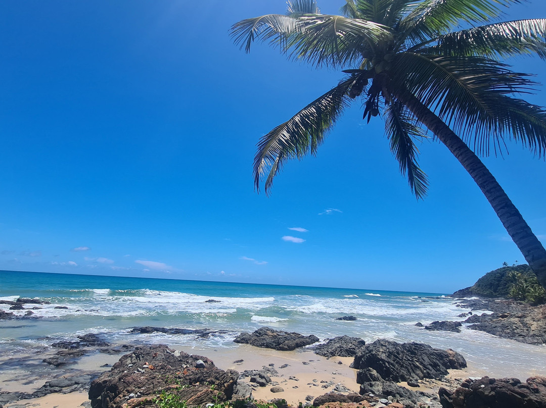 Trilha das Quatro Praias-Itacare必去景点