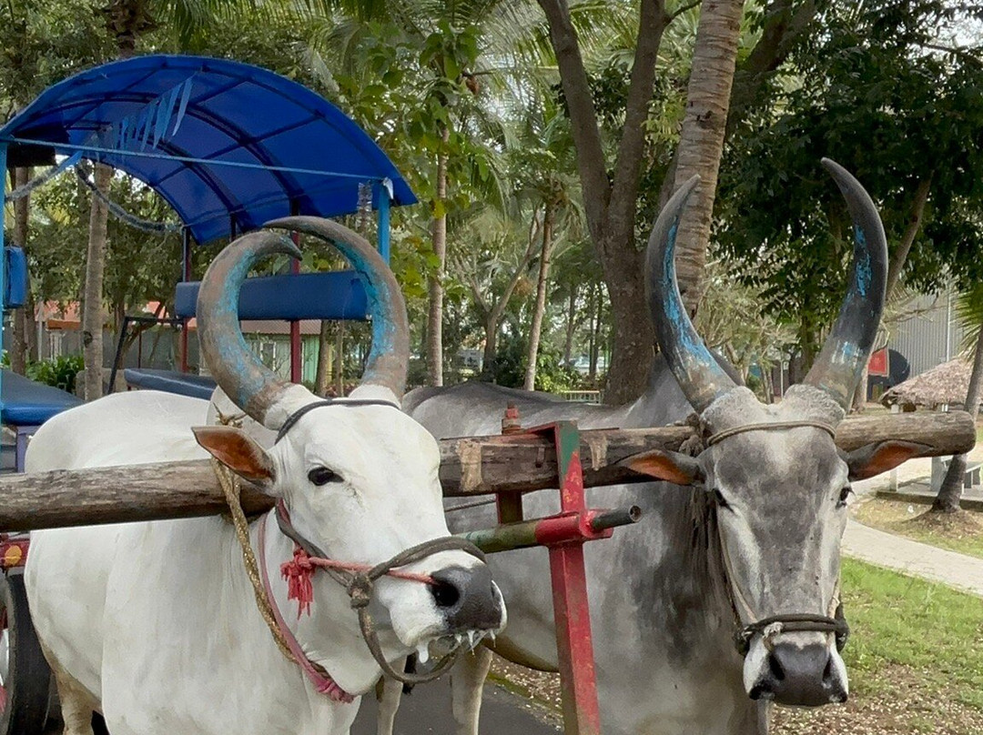 伊谢尔村度假村主图